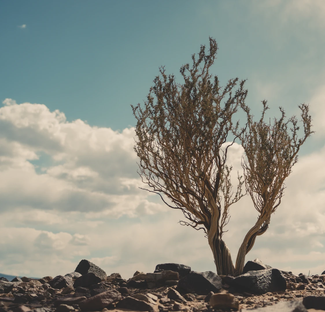 007 - recortada165 - DSC07855 - HQ - Invierno23 copia