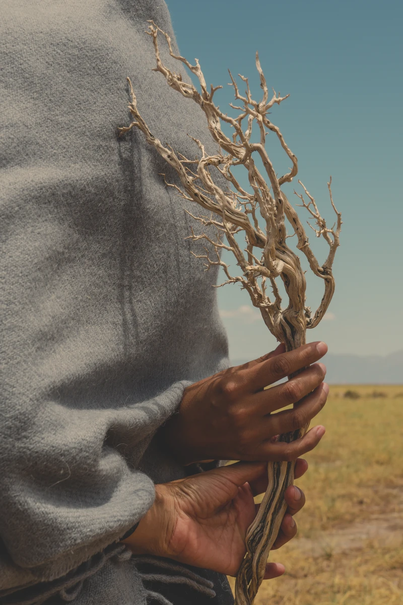 116 - 102 - DSC08515 - HQ - Invierno23.jpg