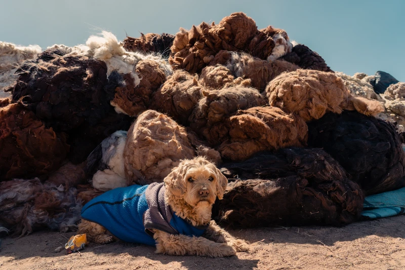 15_HP34285 - Hernan Paganini.jpg