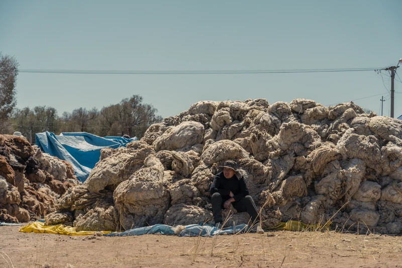 16_HP34511 - Hernan Paganini.jpg