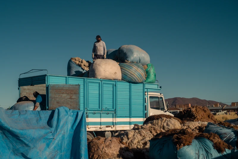 19_HP34816 - Hernan Paganini.jpg