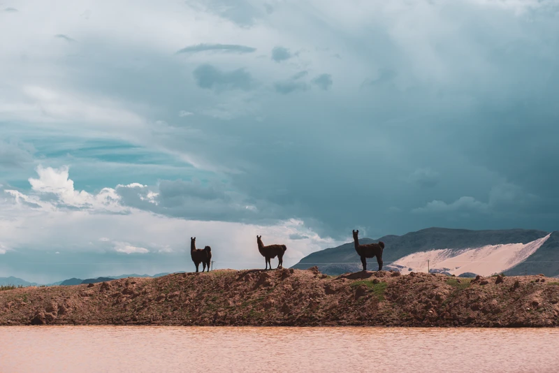 31_PAG6268 - Hernan Paganini.jpg