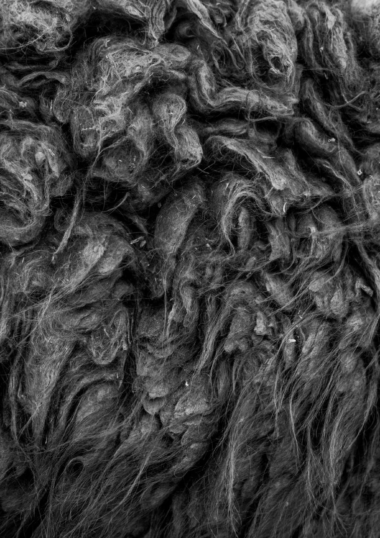 Calor_de_la_tierra_PORTADA2