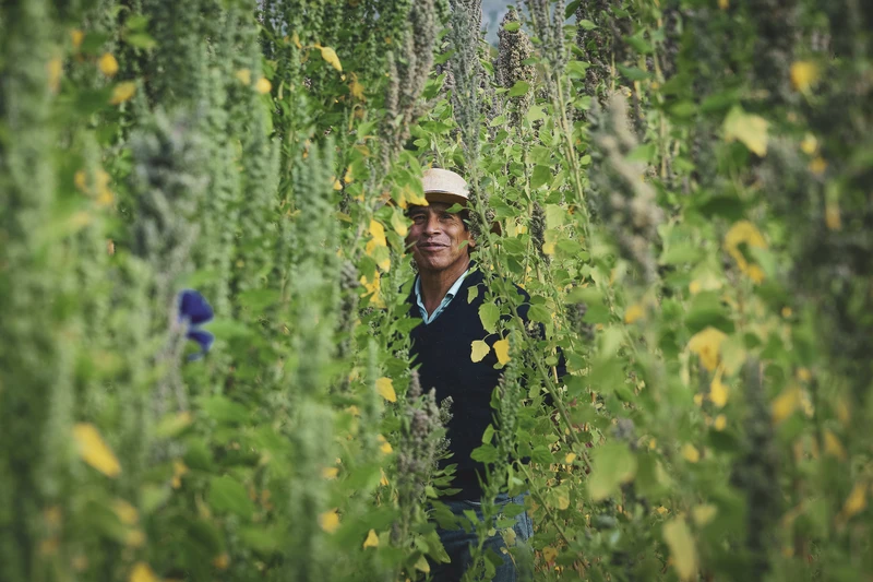 HP302106 - Hernan Paganini copia