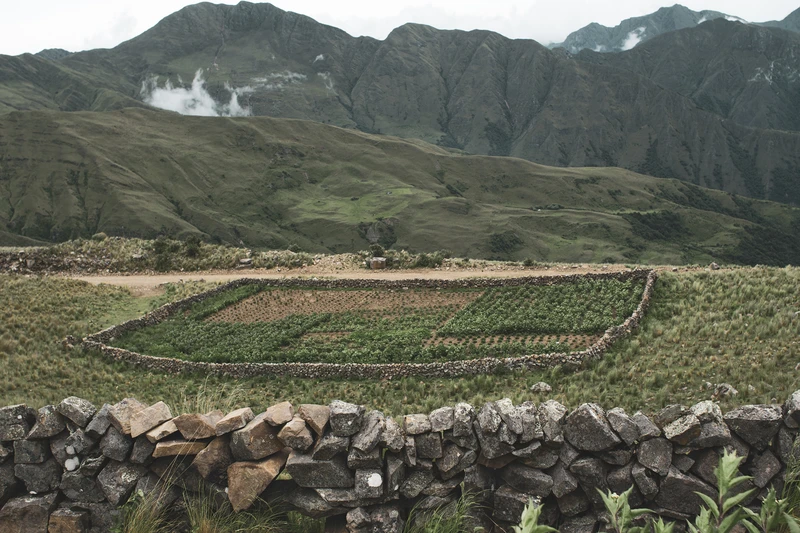 _HPS8705 - Hernan Paganini