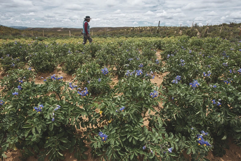 _PAG7211 - Hernan Paganini copia