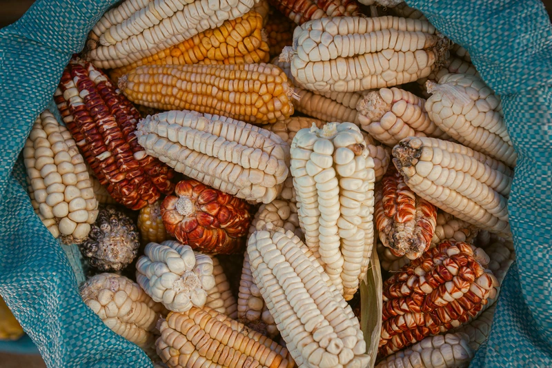 _PAG7396 - LQ - Hernan Paganini - Yavi.jpg