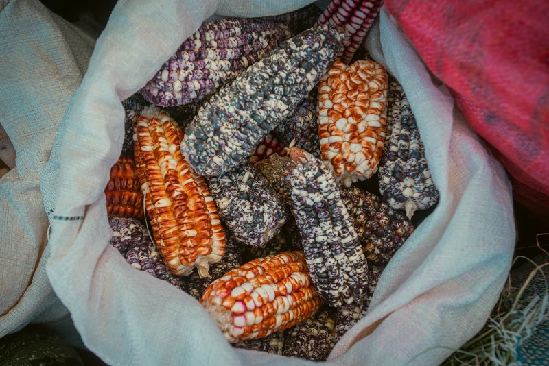 _PAG7401 - LQ - Hernan Paganini - Yavi.jpg